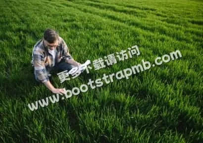 探索体育的精彩 - 雷速官网
