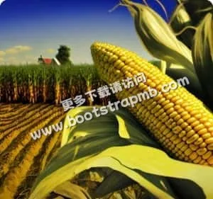 安全下载，绿色无毒 - 雷速官网